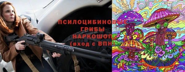 винт Алзамай