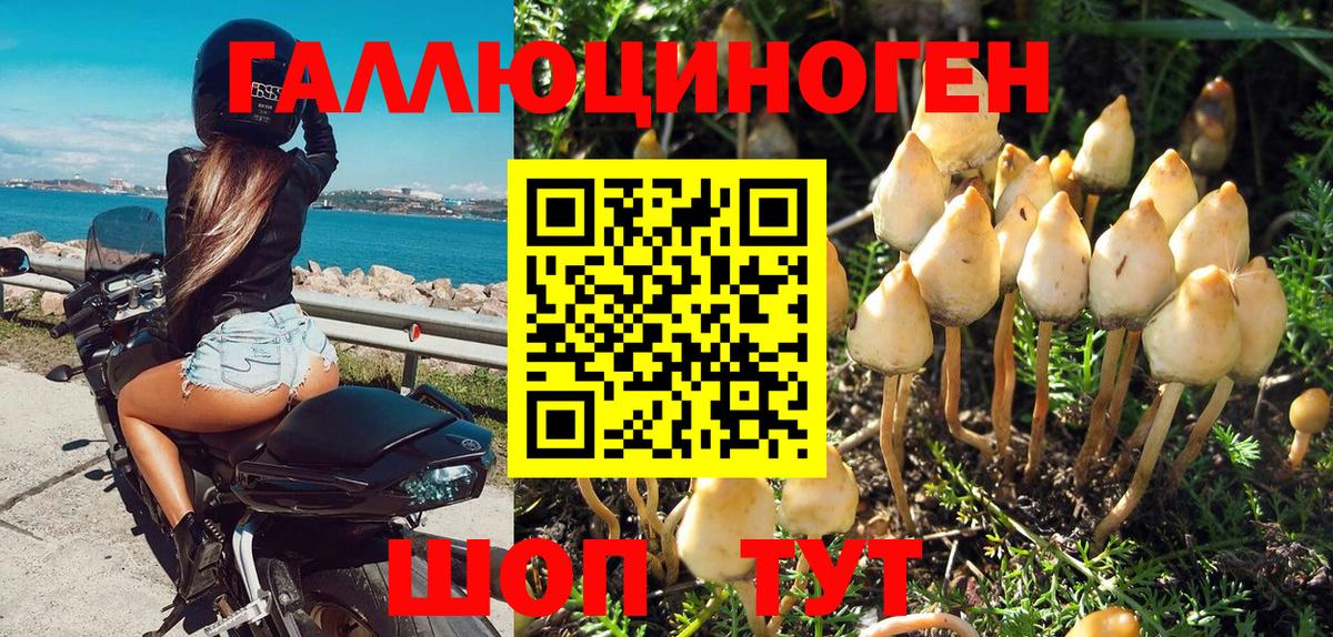 Псилоцибиновые грибы Magic Shrooms  Вход с VPN  Усть-Илимск  Галлюциногенные грибы ЛСД 